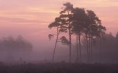 Gelderland